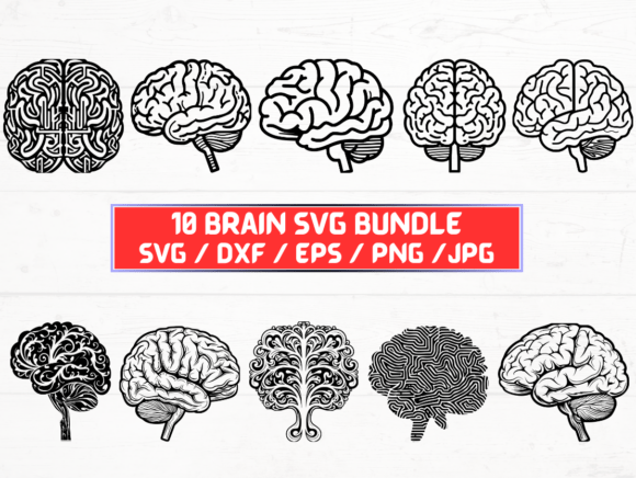 Brain SVG Bundle: Graphics for Crafts & Branding