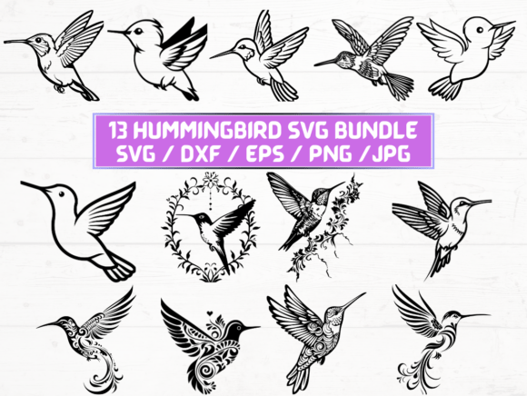 Hummingbird SVG Graphics for Crafts and Branding