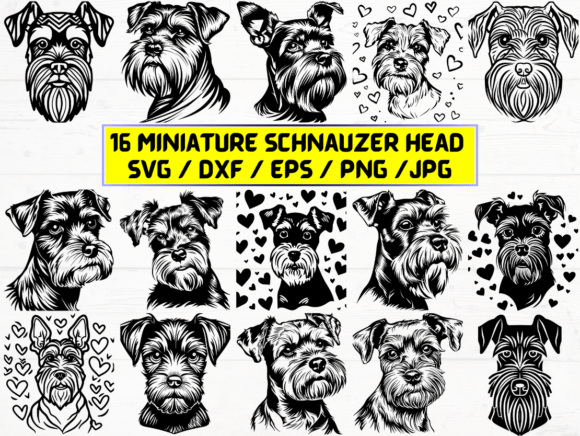 Miniature Schnauzer Head SVG Graphics for Crafts