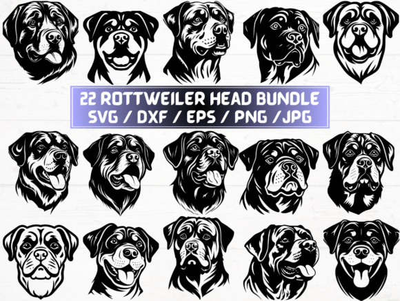 Rottweiler Head SVG: A Designer's Real-World Review