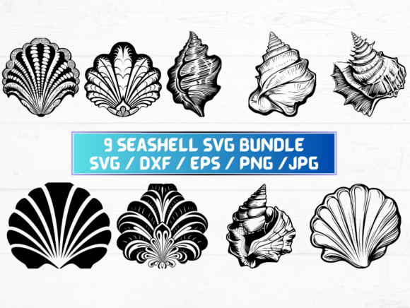 Seashell Engraving Svg: A Designer's Review for Graphics and Crafts