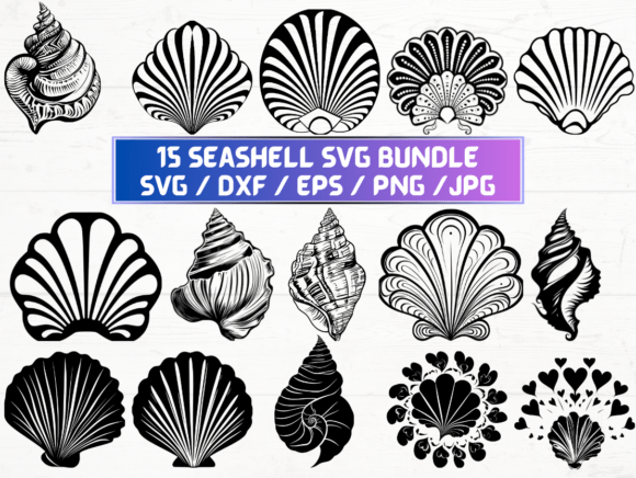 Seashell Laser Cut Files: Premium Graphics for Crafts & Branding