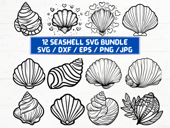 Seashell Laser Engraving Cut File for Graphics & Crafts