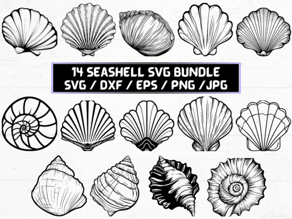 Seashell SVG: A Graphic Design Asset for Crafts and Creators