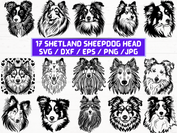 Shetland Sheepdog Head SVG. DXF. EPS for Graphics and Crafts