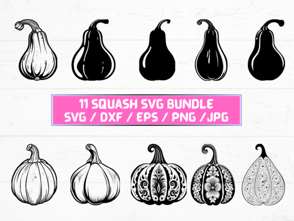Squash SVG, DXF, EPS, JPG, PNG: A Designer's Take on Crafts Graphics